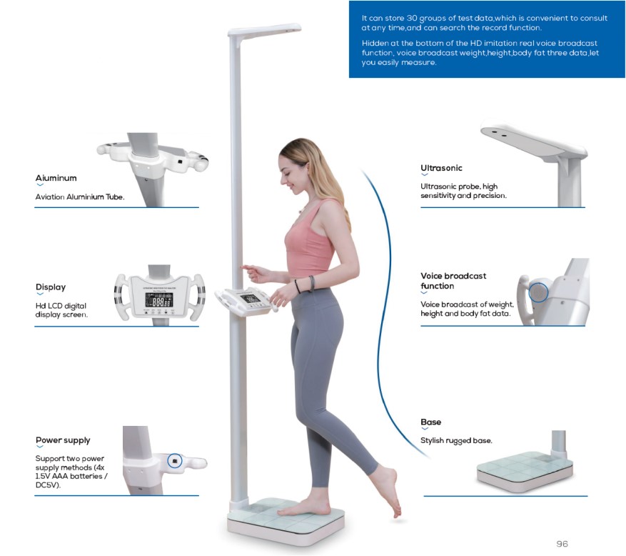 Height Weight & BMI Analyzer